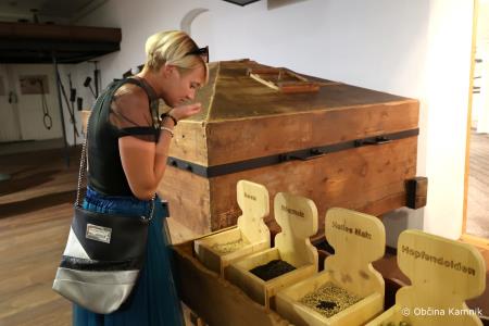 Kamnik in Trofaiach (9)